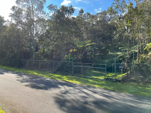 a view of a backyard