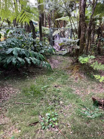 a view of outdoor space and yard
