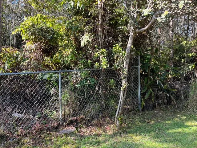 a backyard of a house with lots of plants and tree