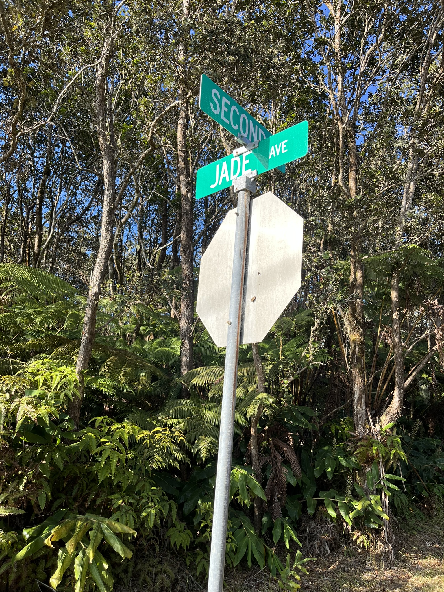 201 2nd Street Volcano, HI 96785 - Photo 20 of 20 a backyard of a house with a yard and outdoor seating