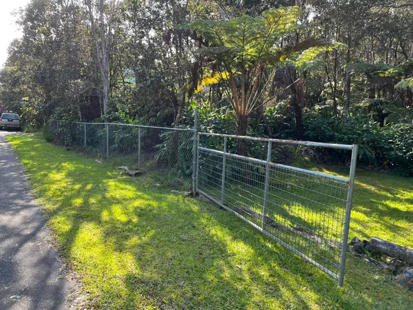 a view of a backyard with a large tree