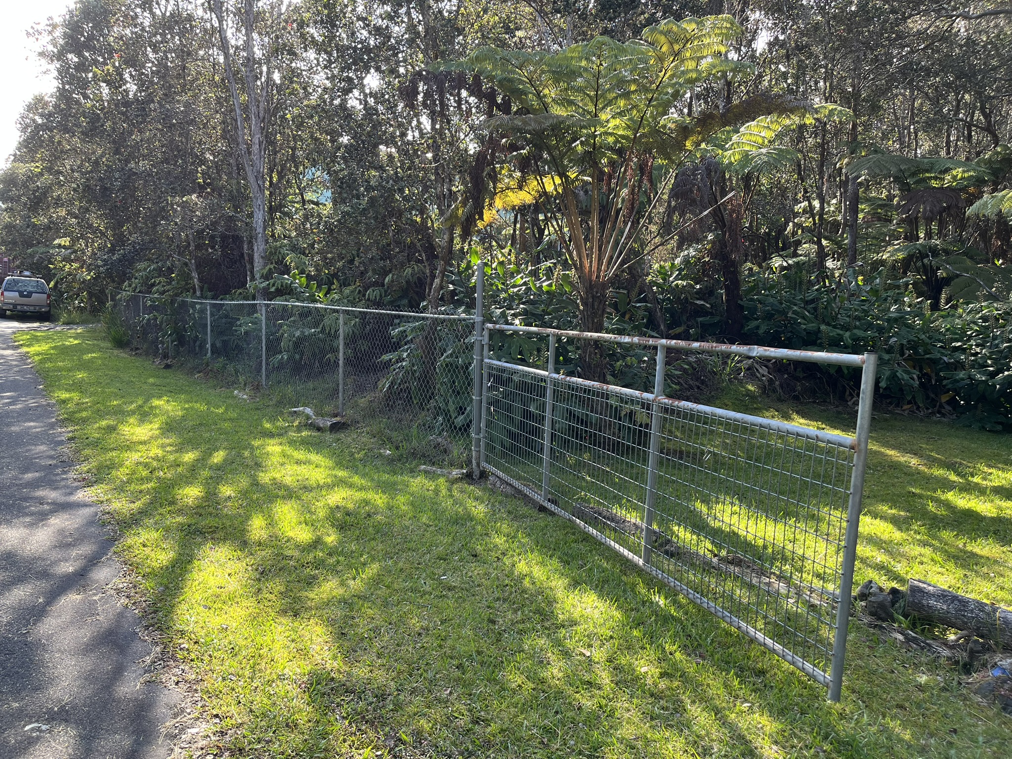 201 2nd Street Volcano, HI 96785 - Photo 2 of 20 a view of a backyard with a large tree