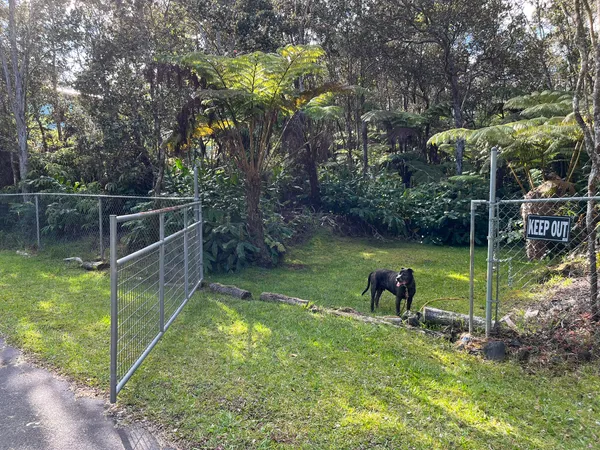 a garden view