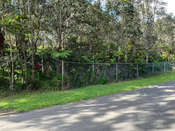 a view of a backyard
