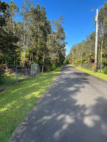 a view of a park with large trees