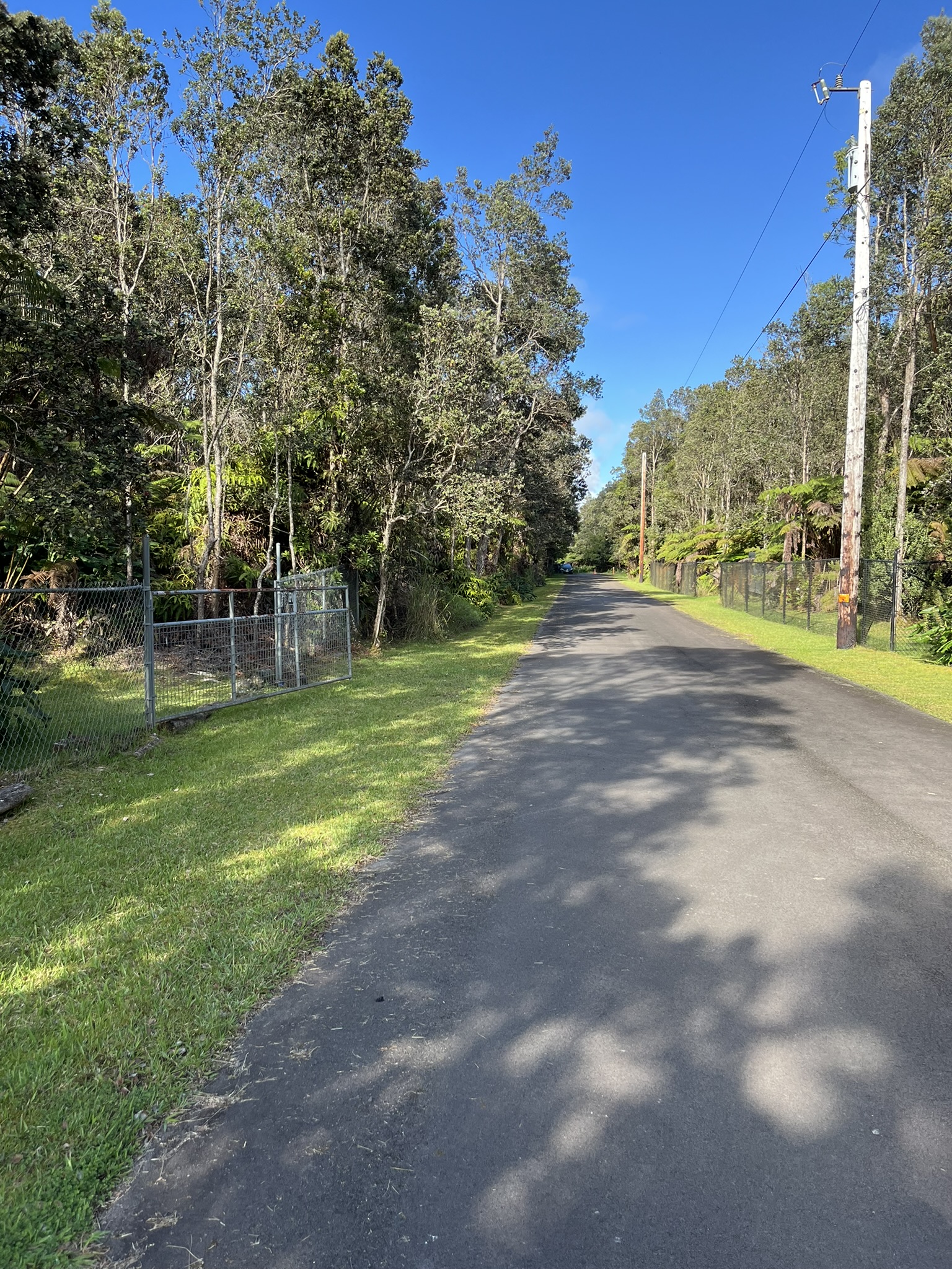 201 2nd Street Volcano, HI 96785 - Photo 6 of 20 a view of a park with large trees