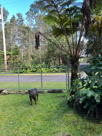 a view of garden with patio