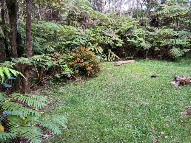 a view of outdoor space and yard