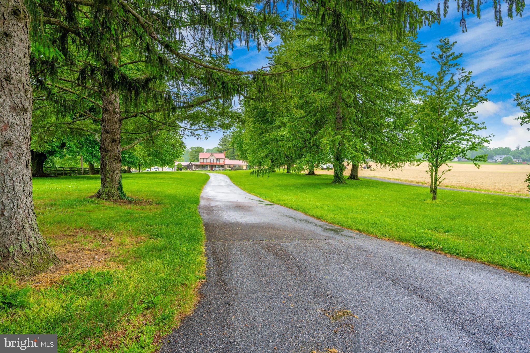 3268 Woodbine Road Woodbine, MD 21797 - Photo 11 of 85