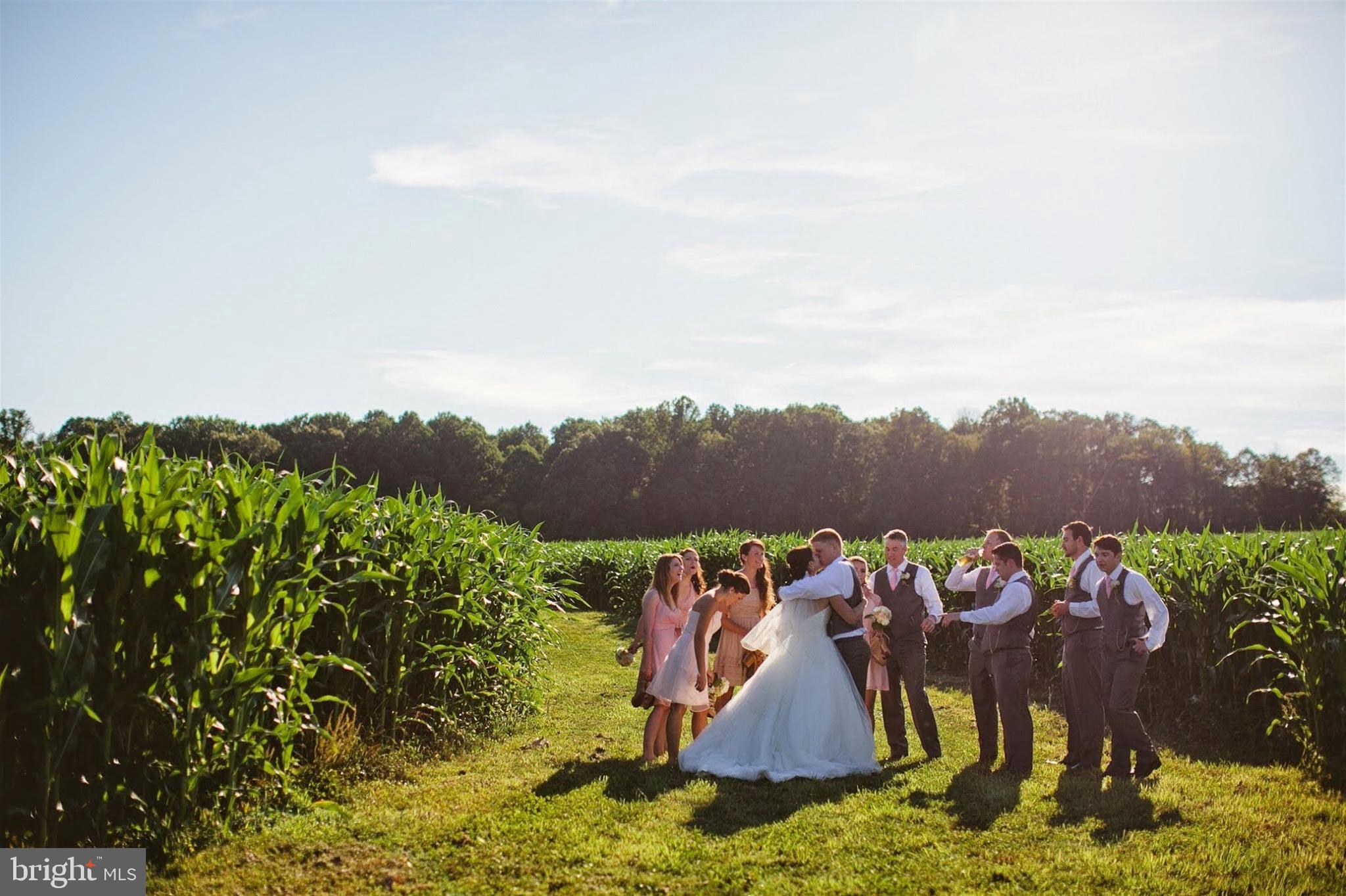 3268 Woodbine Road Woodbine, MD 21797 - Photo 26 of 85