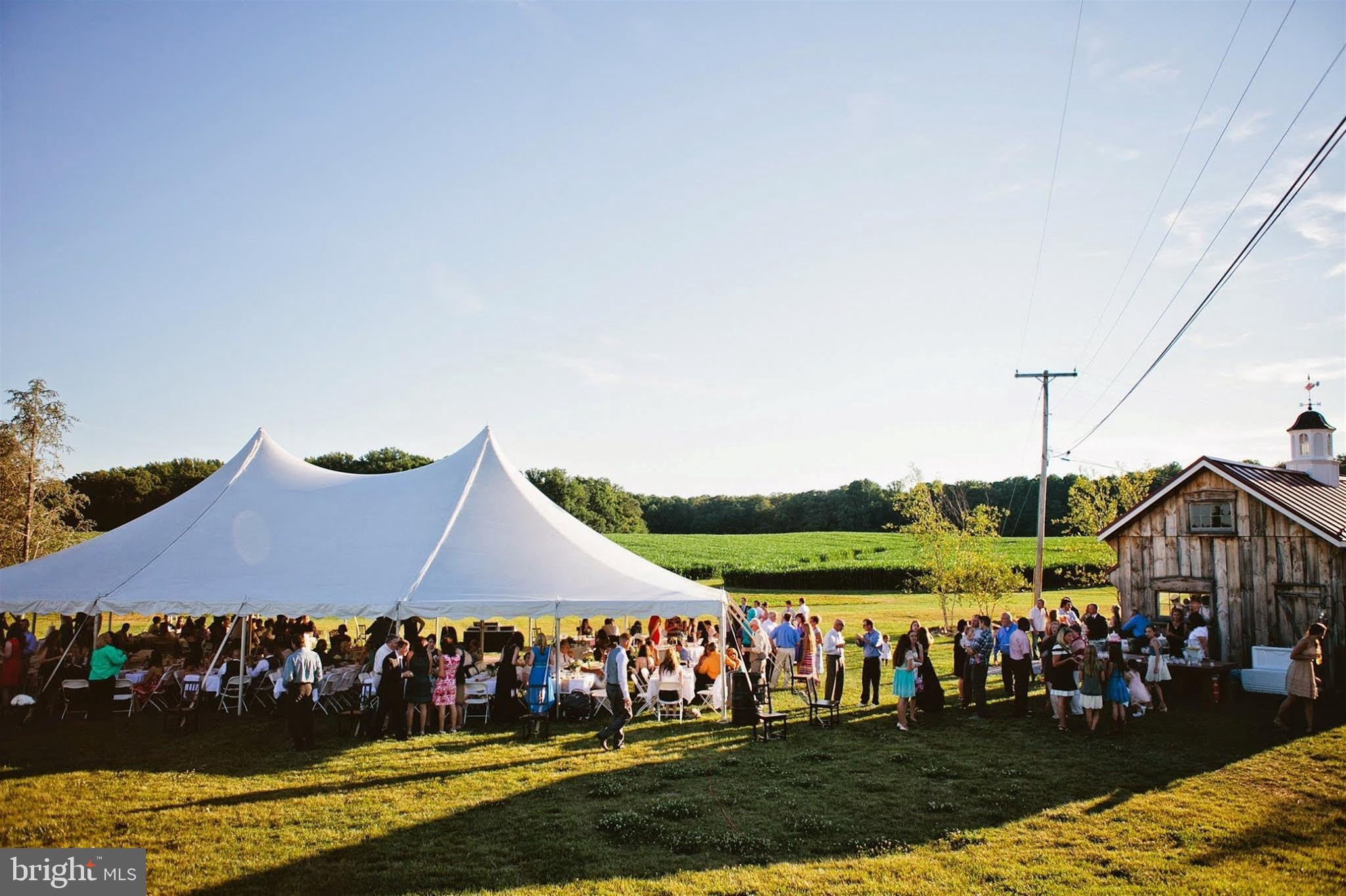 3268 Woodbine Road Woodbine, MD 21797 - Photo 27 of 85