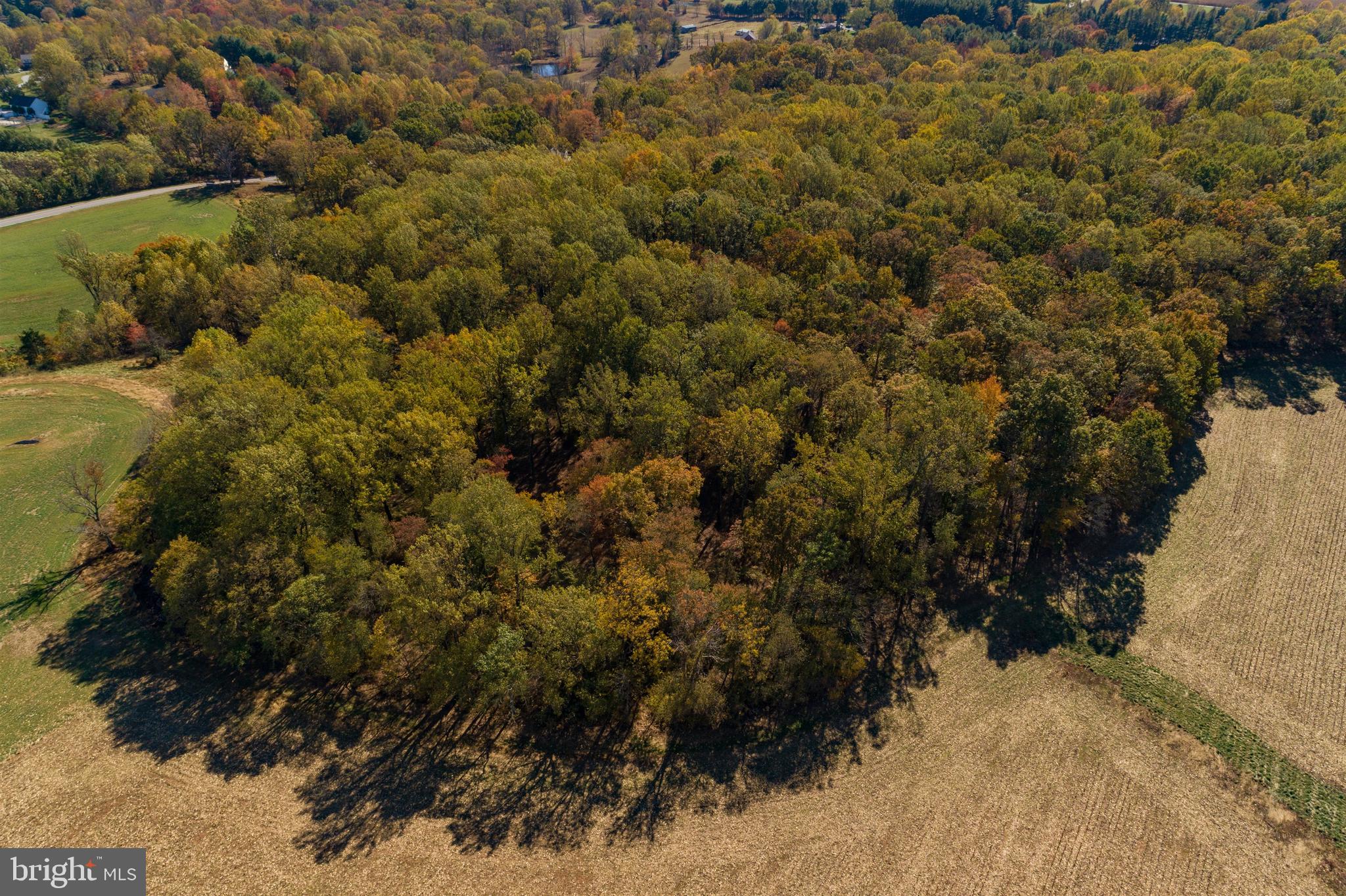 3268 Woodbine Road Woodbine, MD 21797 - Photo 7 of 85