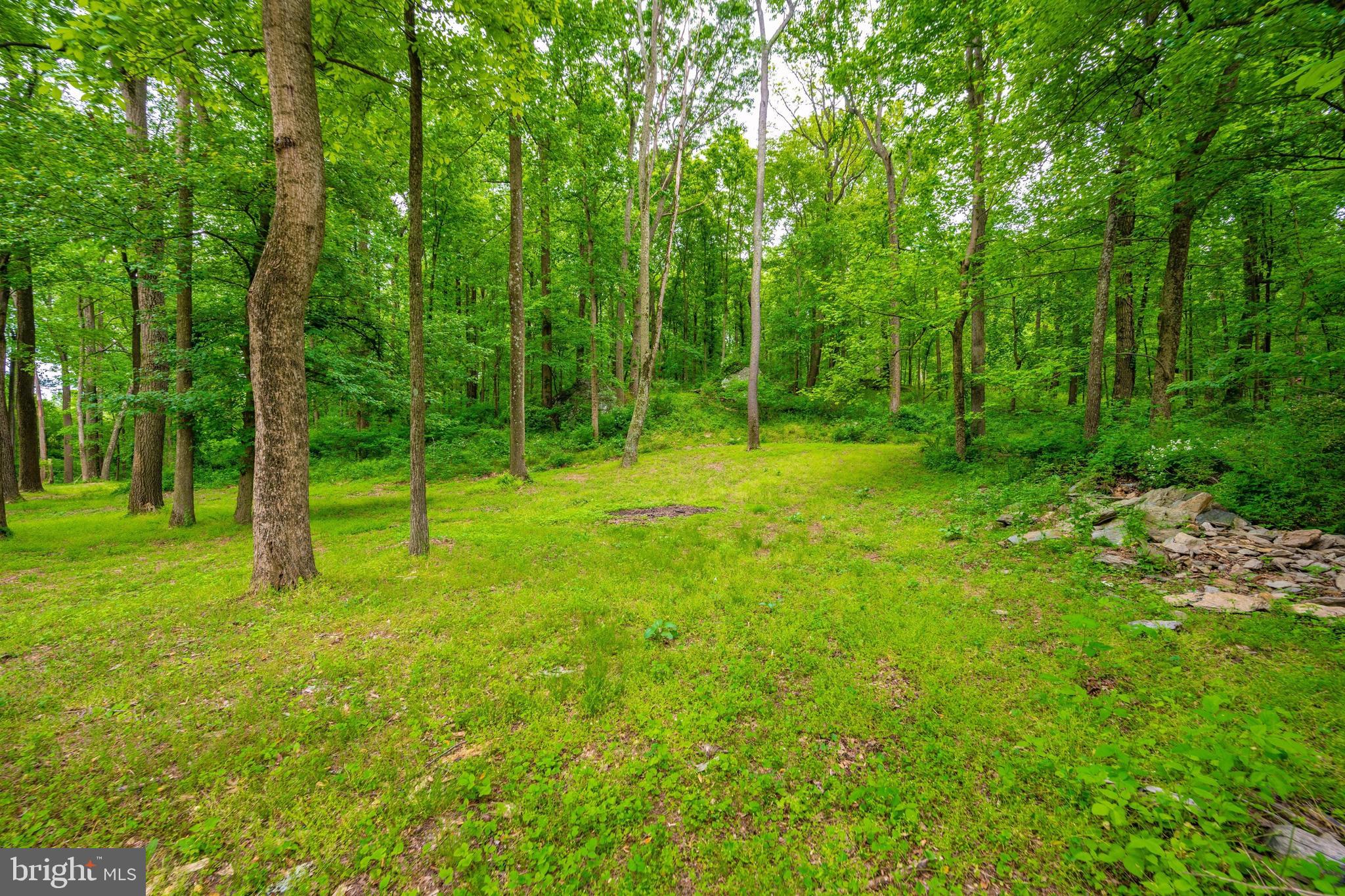 3268 Woodbine Road Woodbine, MD 21797 - Photo 71 of 85