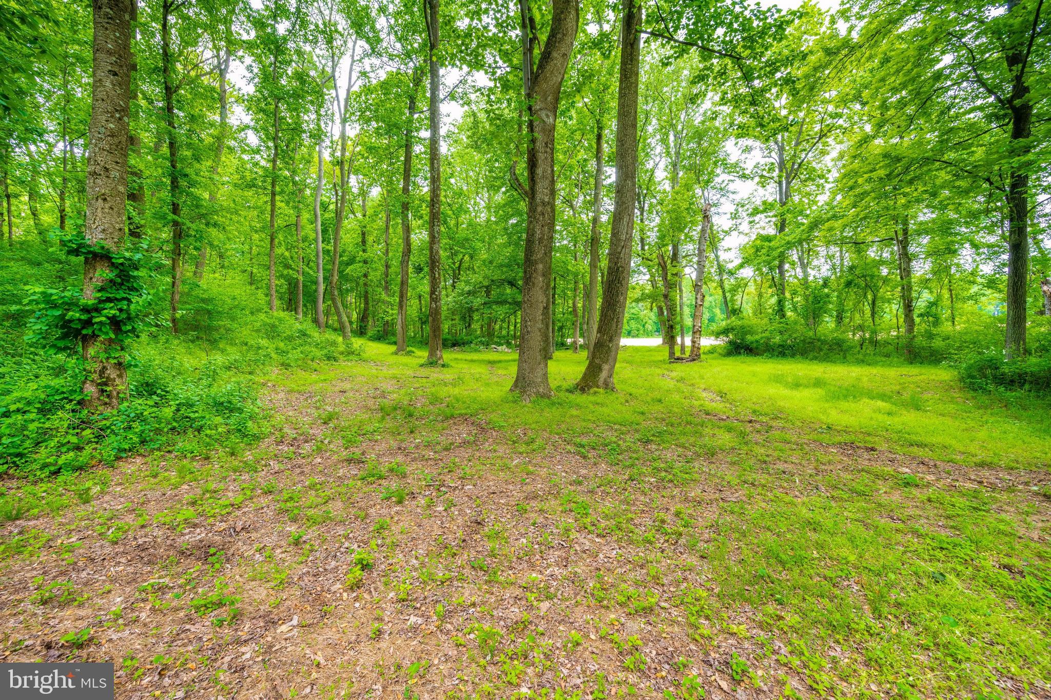 3268 Woodbine Road Woodbine, MD 21797 - Photo 74 of 85