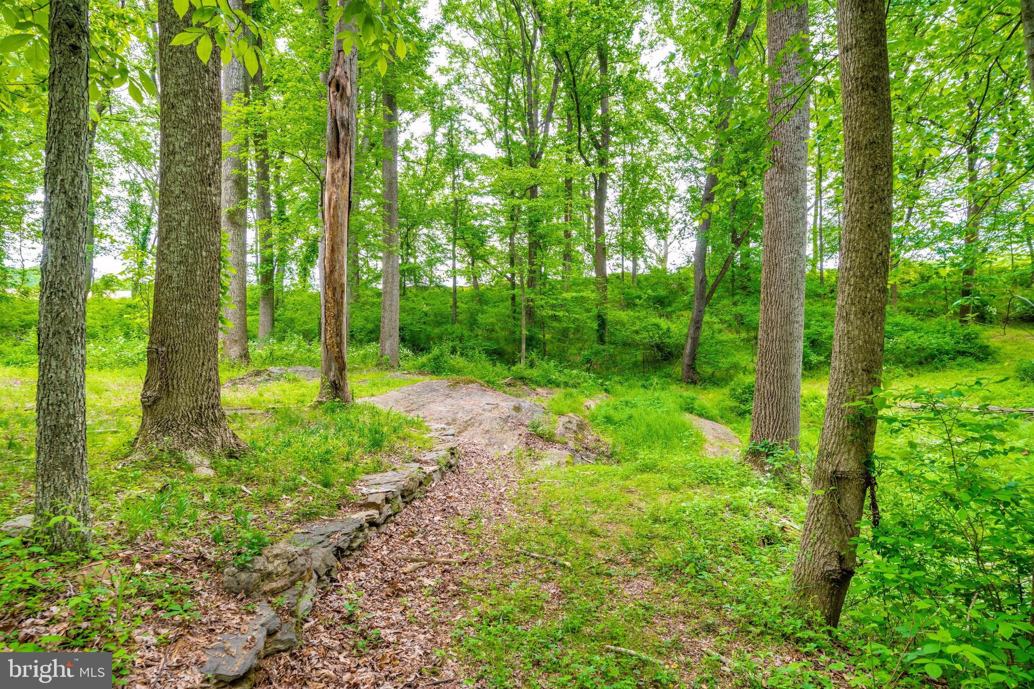 3268 Woodbine Road Woodbine, MD 21797 - Photo 76 of 85