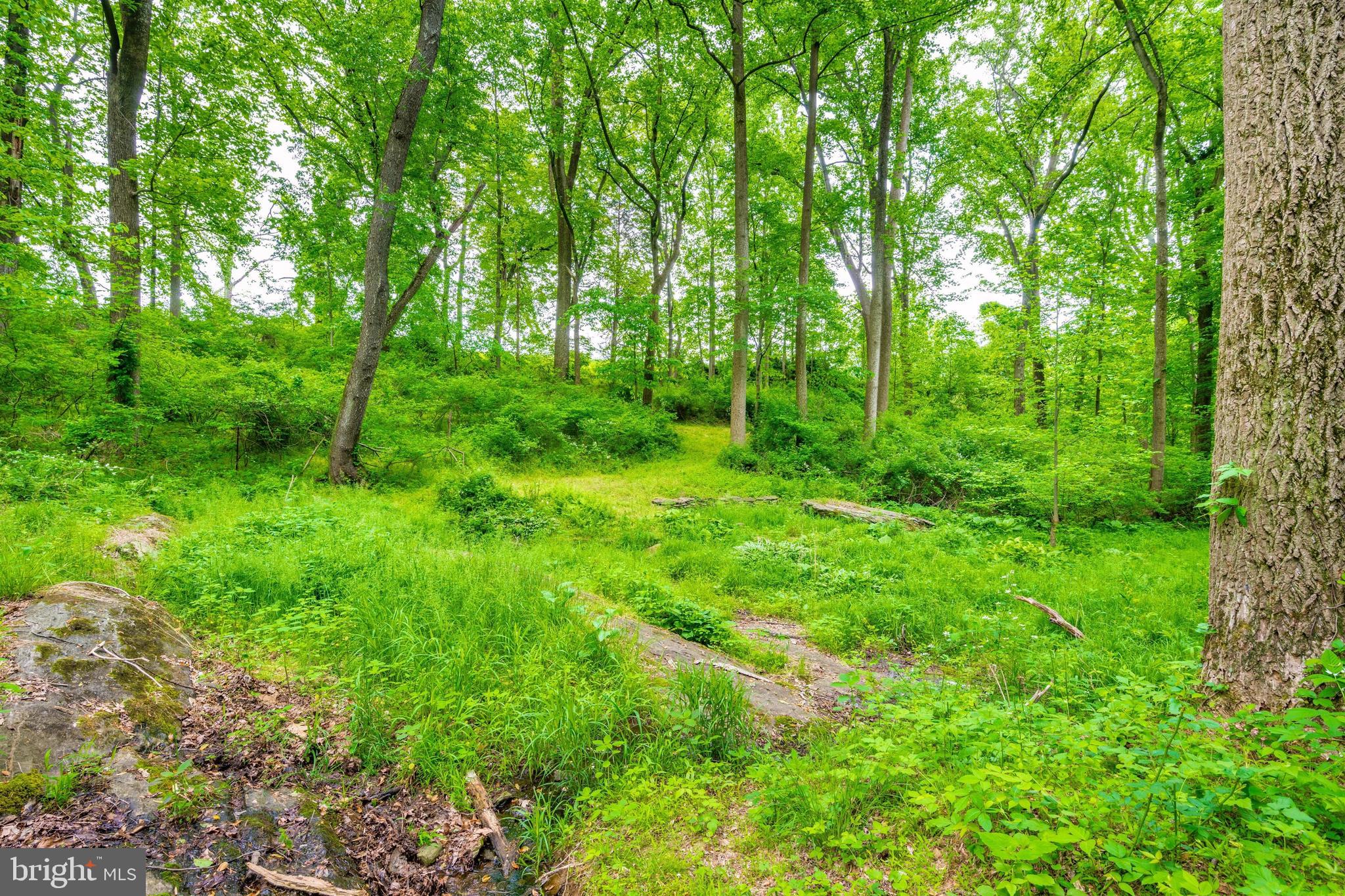 3268 Woodbine Road Woodbine, MD 21797 - Photo 77 of 85