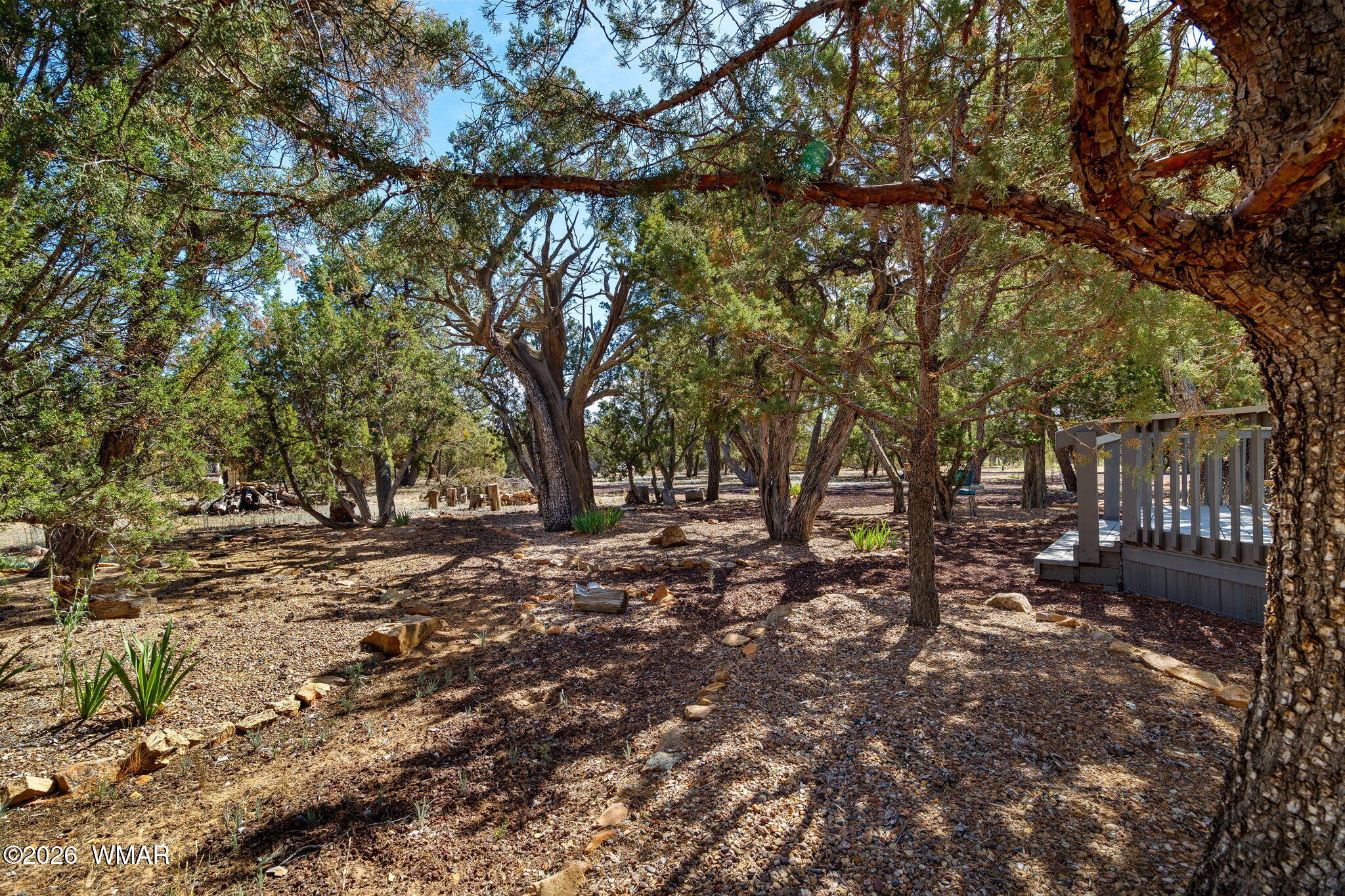 3069 Aspen Road Overgaard, AZ 85933 - Photo 3 of 40 3069AspenRd-Heber-AZ-3