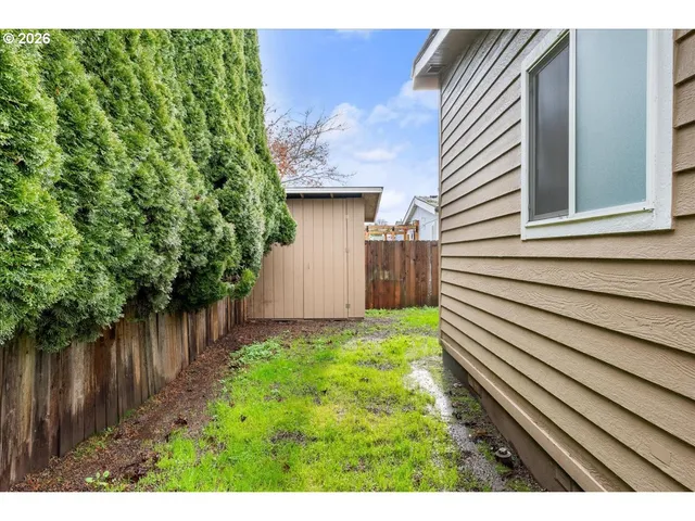 a view of a backyard with plants