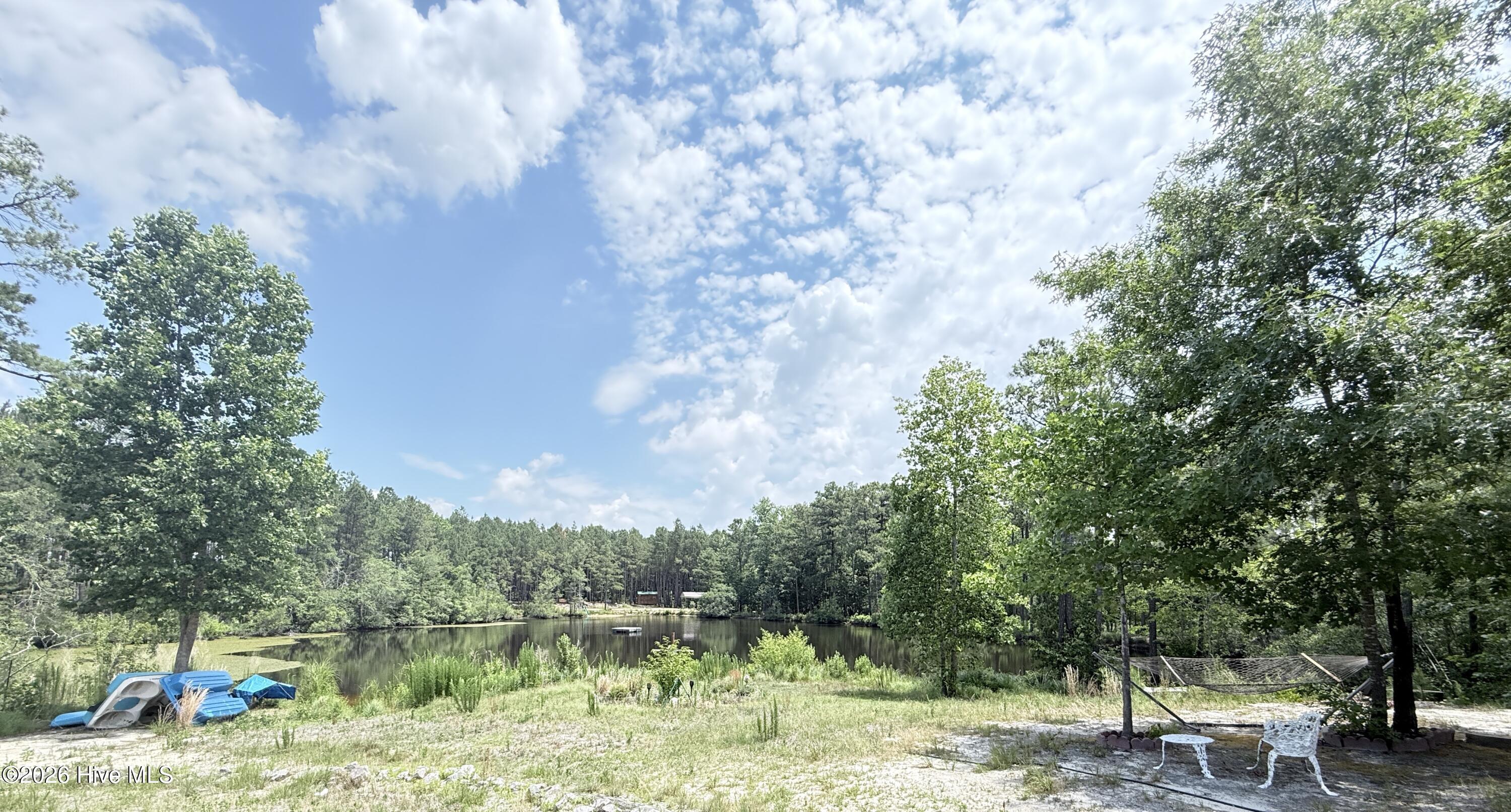 137 Manley Road Carthage, NC 28327 - Photo 22 of 22