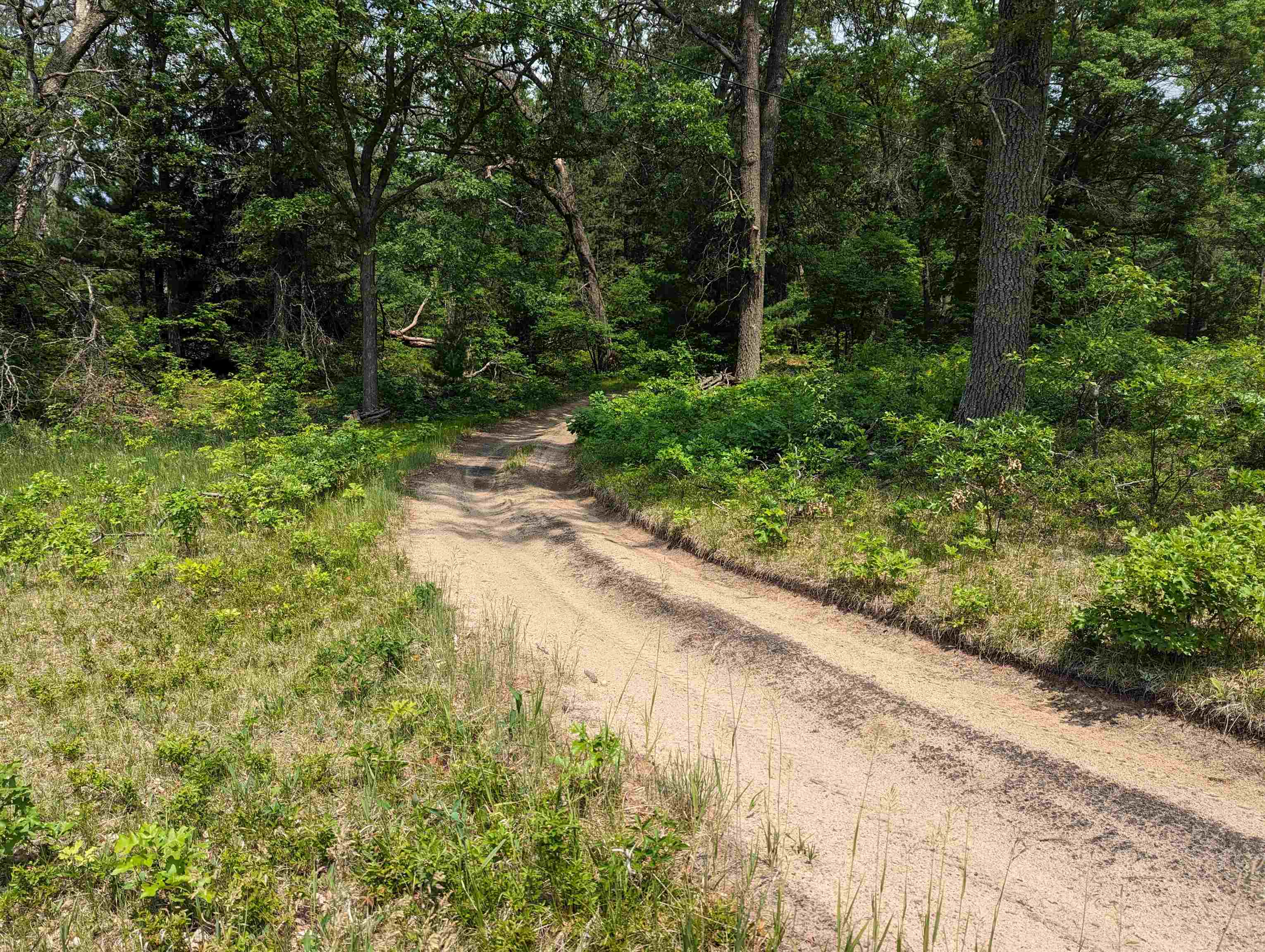 2511 Rifle River Trail West Branch, MI 48661 - Photo 28 of 30