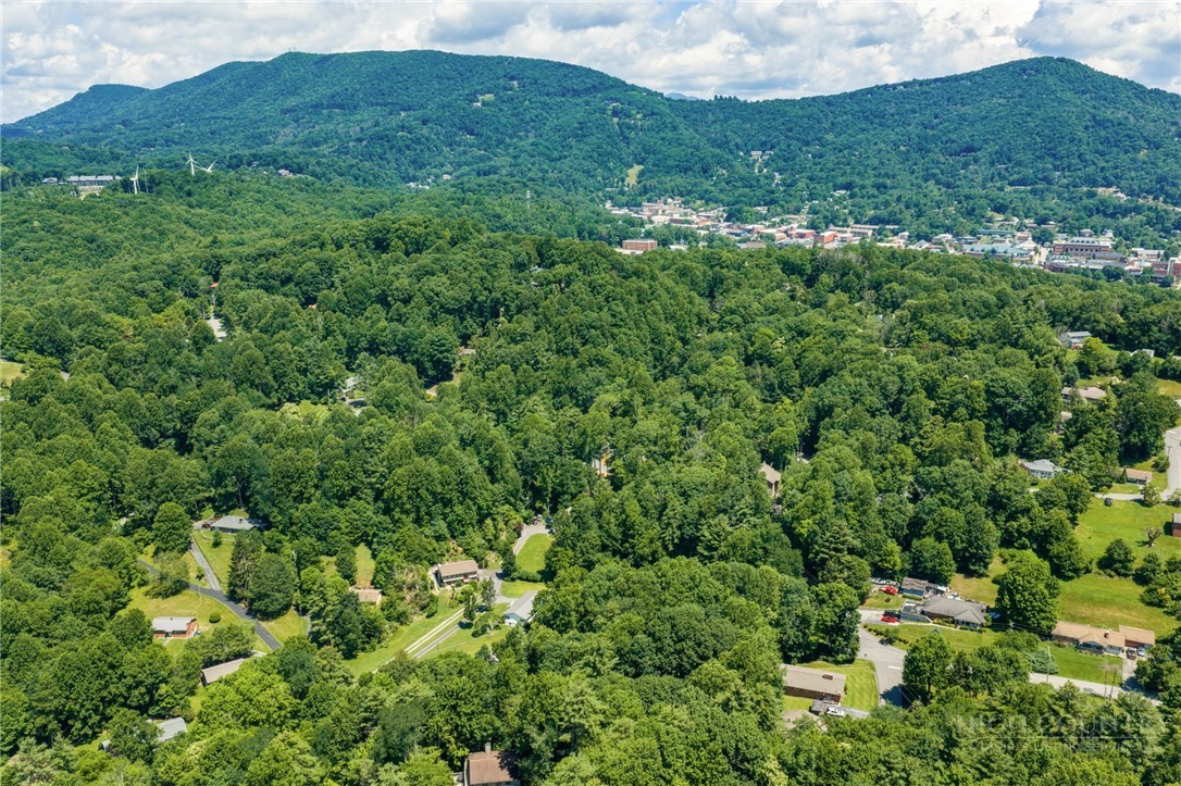 121 Horseshoe Drive Boone, NC 28607 - Photo 32 of 34