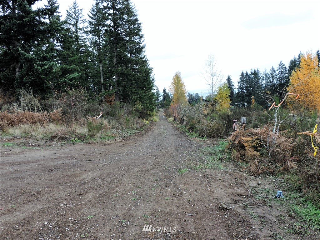 14241 Solberg Road Southeast Yelm, WA 98597 - Photo 9 of 12 Gallery Image 9