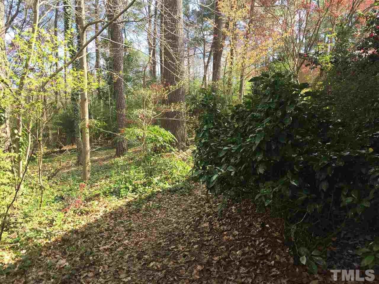 2757 Rue Sans Famille Raleigh, NC 27607 - Photo 17 of 21 a view of a garden