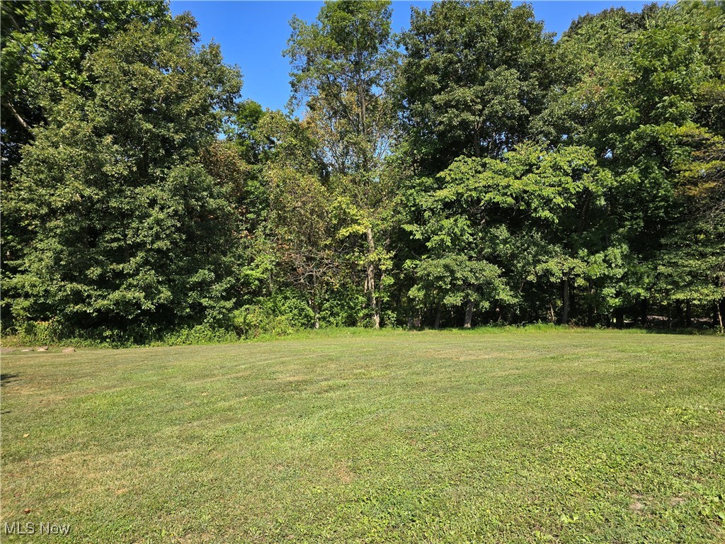 33 Lane Road Vincent, OH 45784 - Photo 5 of 36 View of yard
