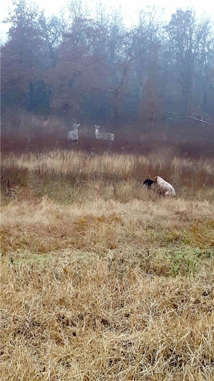 102 Rd Axtell Tx 76673 Road Mount Calm, TX 76673 - Photo 32 of 43