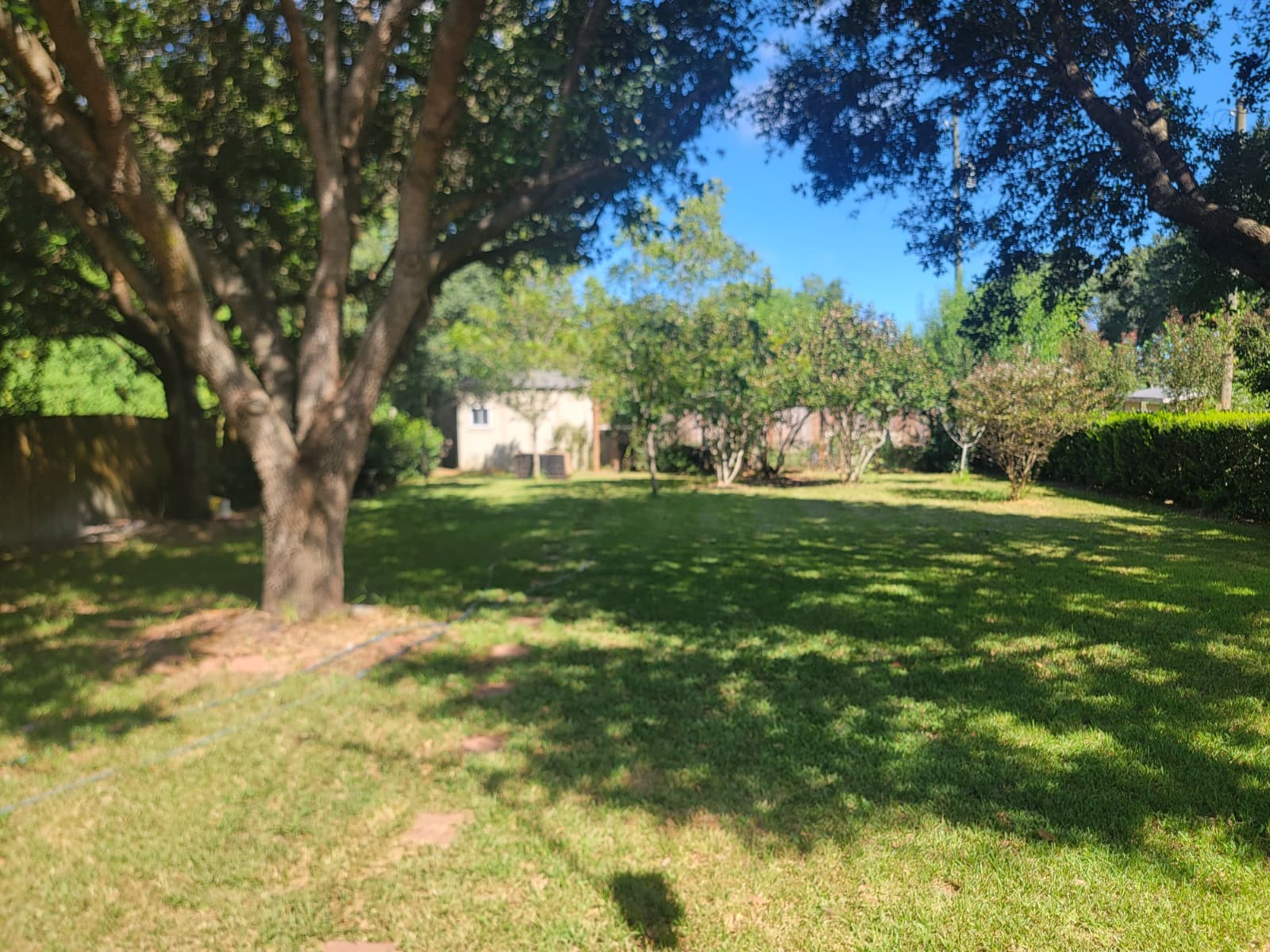 320 Old San Felipe Road Sealy, TX 77474 - Photo 12 of 12 Spacious backyard with lush greenery, mature trees providing ample shade perfect for outdoor activities and relaxation.