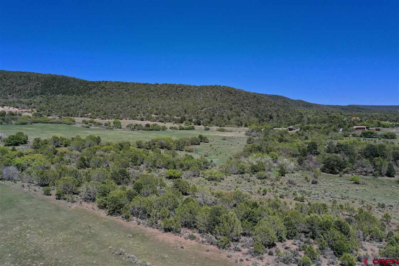 Tbd Tbd 2300th Road Cedaredge, CO 81413 - Photo 11 of 21 a view of a field with a mountain in the background