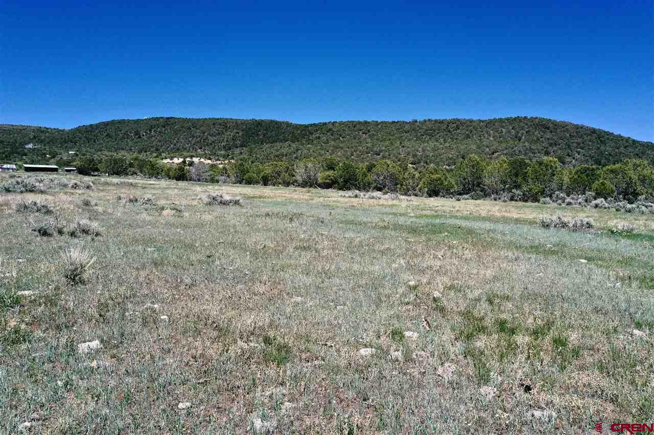Tbd Tbd 2300th Road Cedaredge, CO 81413 - Photo 12 of 21 a view of outdoor space and mountain view