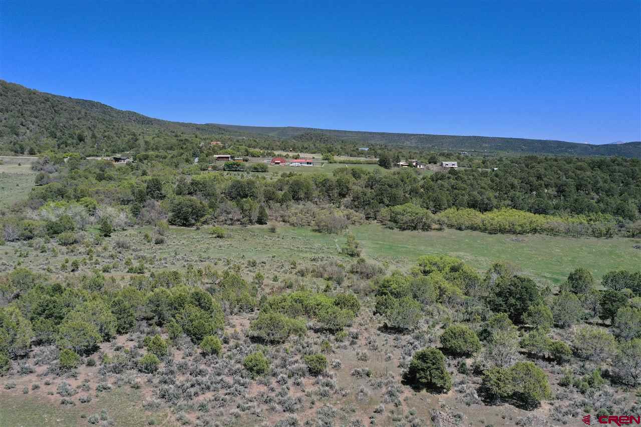 Tbd Tbd 2300th Road Cedaredge, CO 81413 - Photo 13 of 21 a view of a field with a lush green forest