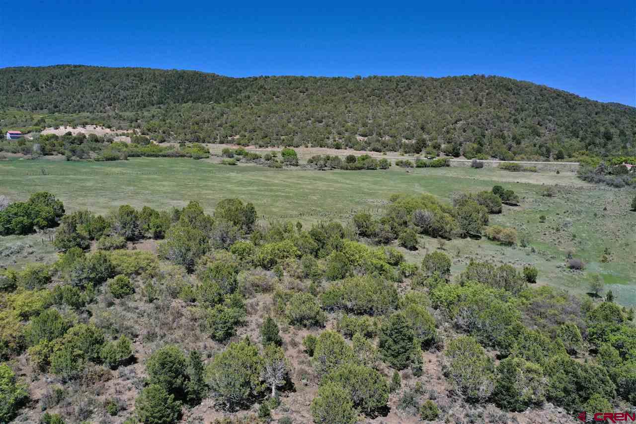 Tbd Tbd 2300th Road Cedaredge, CO 81413 - Photo 14 of 21 a view of an outdoor space with mountain view