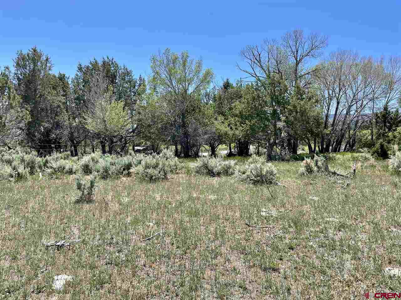 Tbd Tbd 2300th Road Cedaredge, CO 81413 - Photo 18 of 21 a view of a green field with lots of bushes