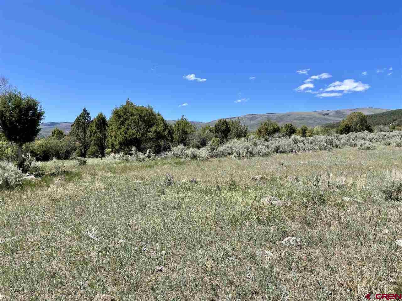 Tbd Tbd 2300th Road Cedaredge, CO 81413 - Photo 19 of 21 a view of a city with lush green forest