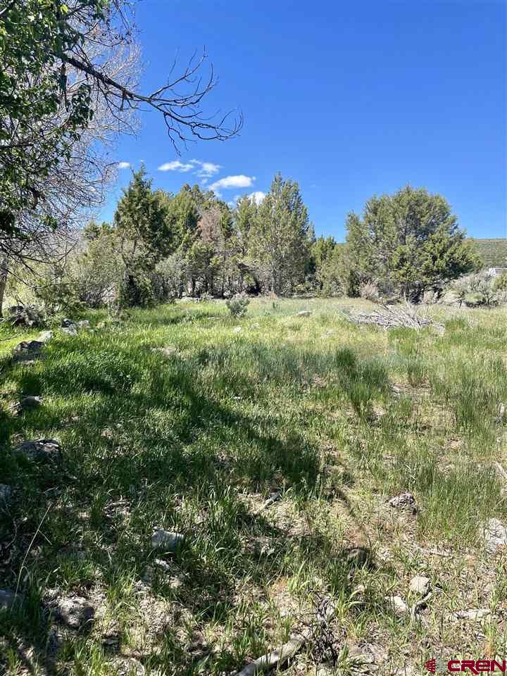 Tbd Tbd 2300th Road Cedaredge, CO 81413 - Photo 20 of 21 a view of a yard