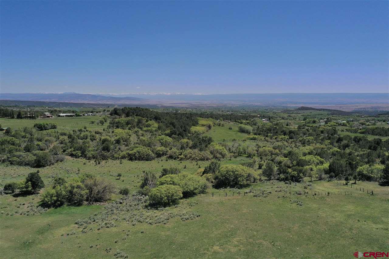 Tbd Tbd 2300th Road Cedaredge, CO 81413 - Photo 3 of 21 an aerial view of a field with trees