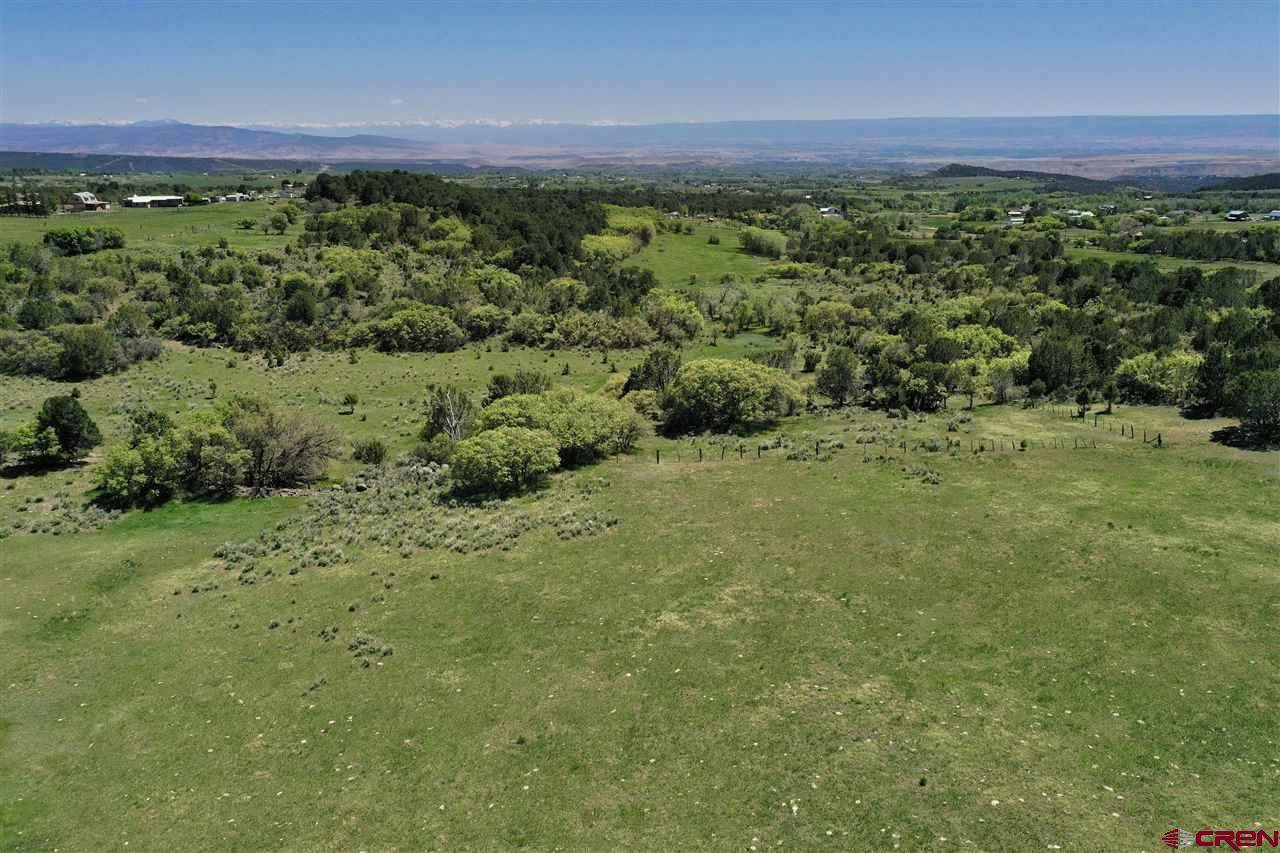 Tbd Tbd 2300th Road Cedaredge, CO 81413 - Photo 4 of 21 a view of a green field with an ocean