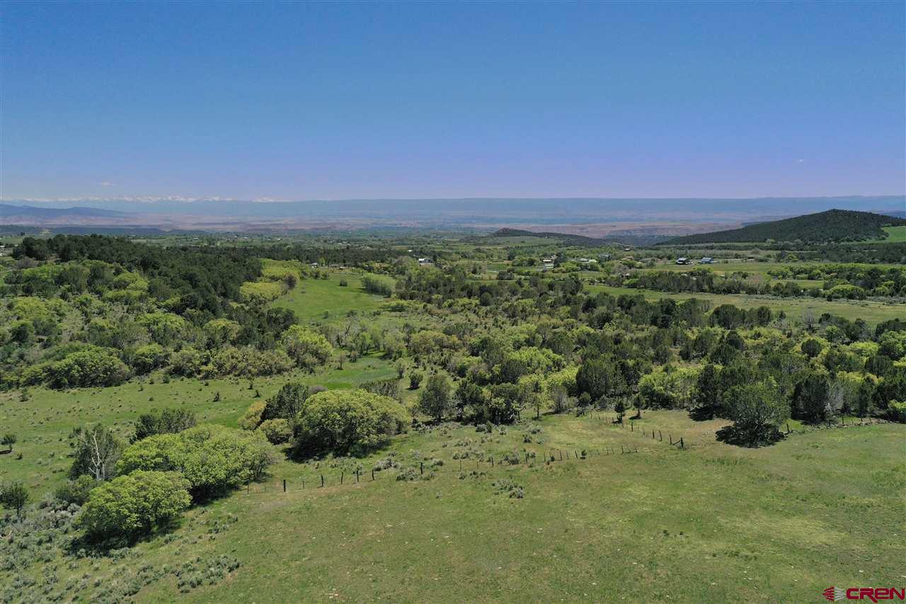 Tbd Tbd 2300th Road Cedaredge, CO 81413 - Photo 5 of 21 a view of a green field