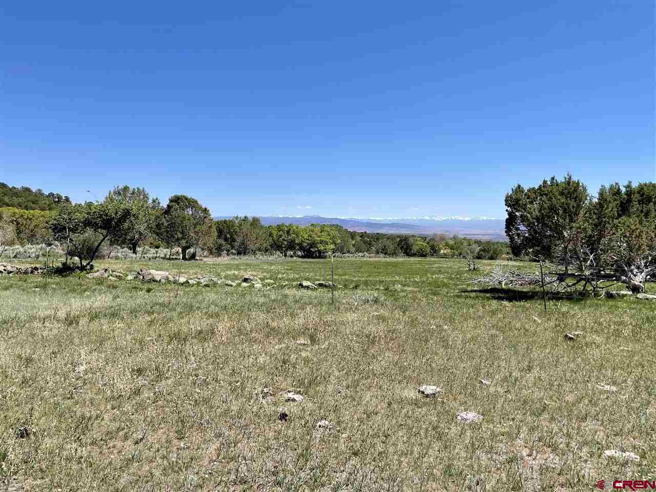 Tbd Tbd 2300th Road Cedaredge, CO 81413 - Photo 7 of 21 a view of a field with trees in the background