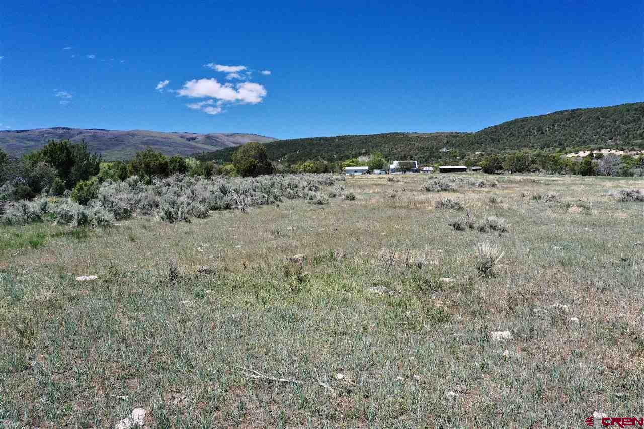 Tbd Tbd 2300th Road Cedaredge, CO 81413 - Photo 10 of 21 a view of a yard with a tree