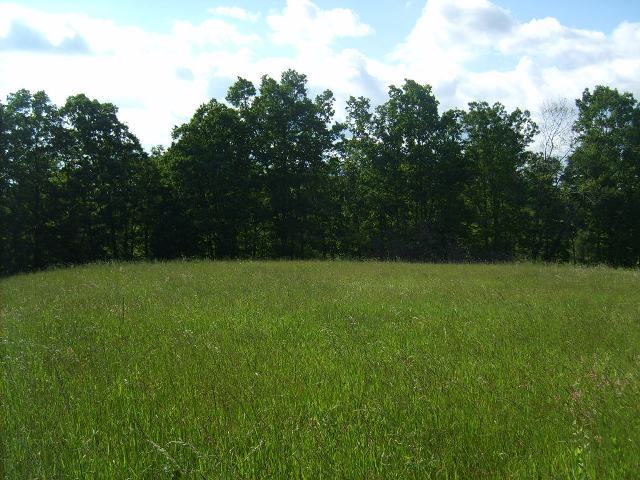 Lot 4 Stone Ridge Way Lewisburg, WV 24901 - Photo 5 of 5 back of lot