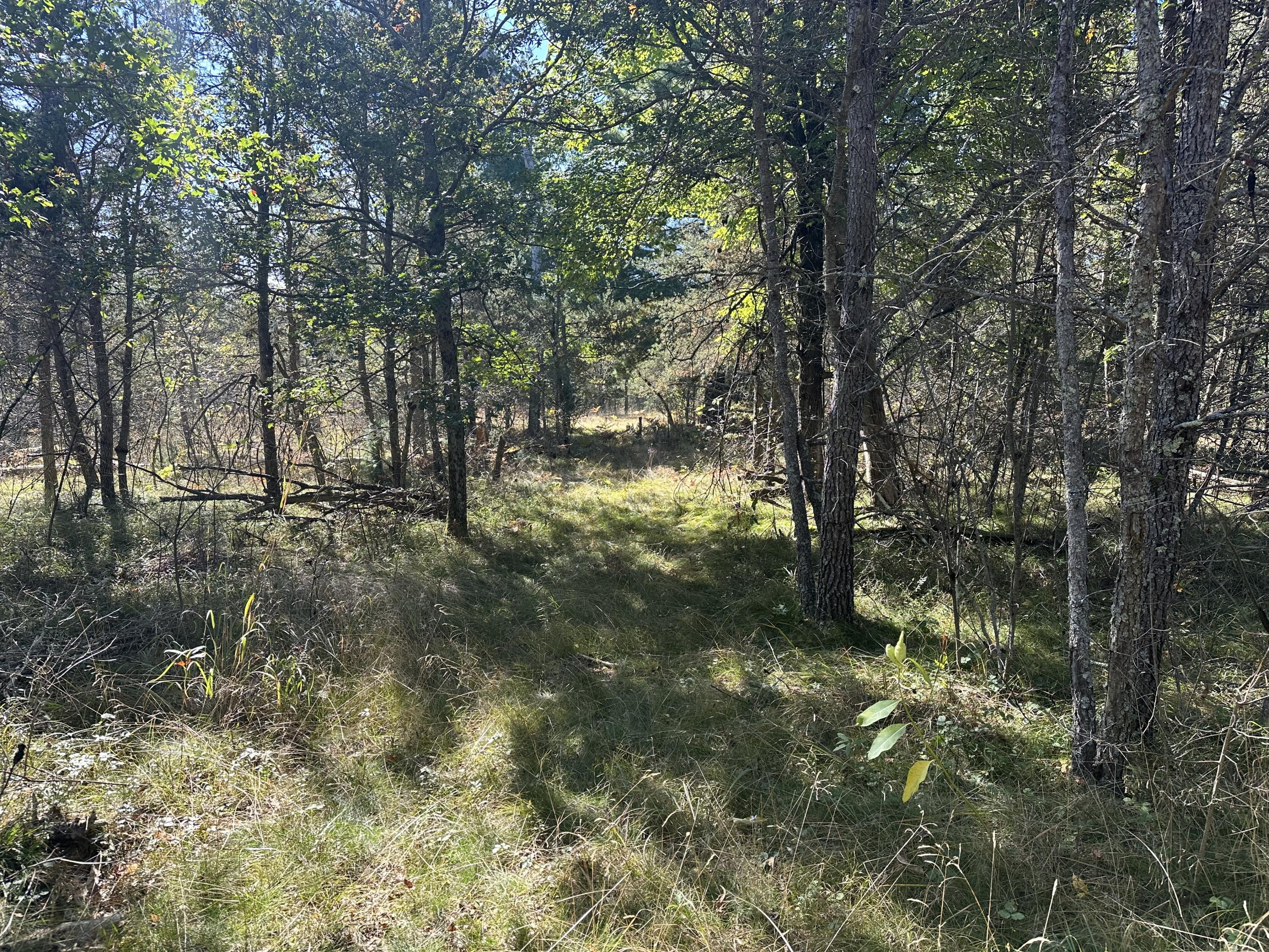 126 South Usfs Road Baldwin, MI 49304 - Photo 52 of 74 IMG_5163