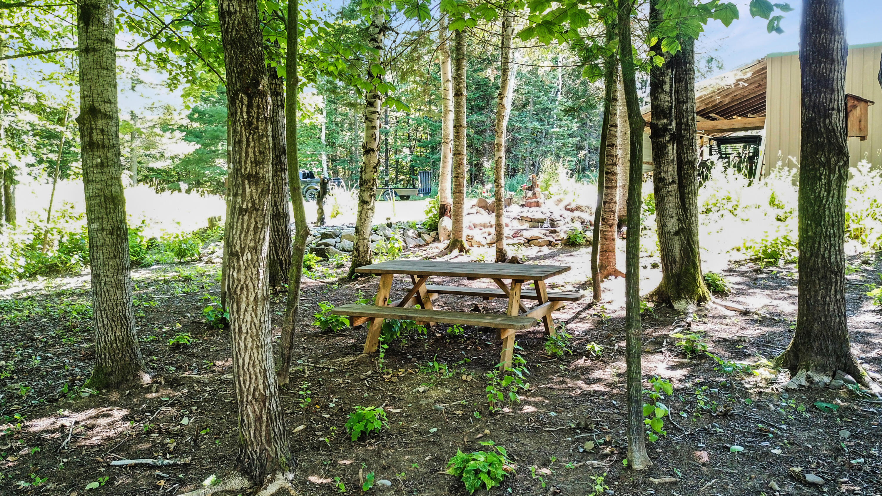 300 Youngs Lake Road Westfield, ME 04787 - Photo 9 of 42 Landscaping