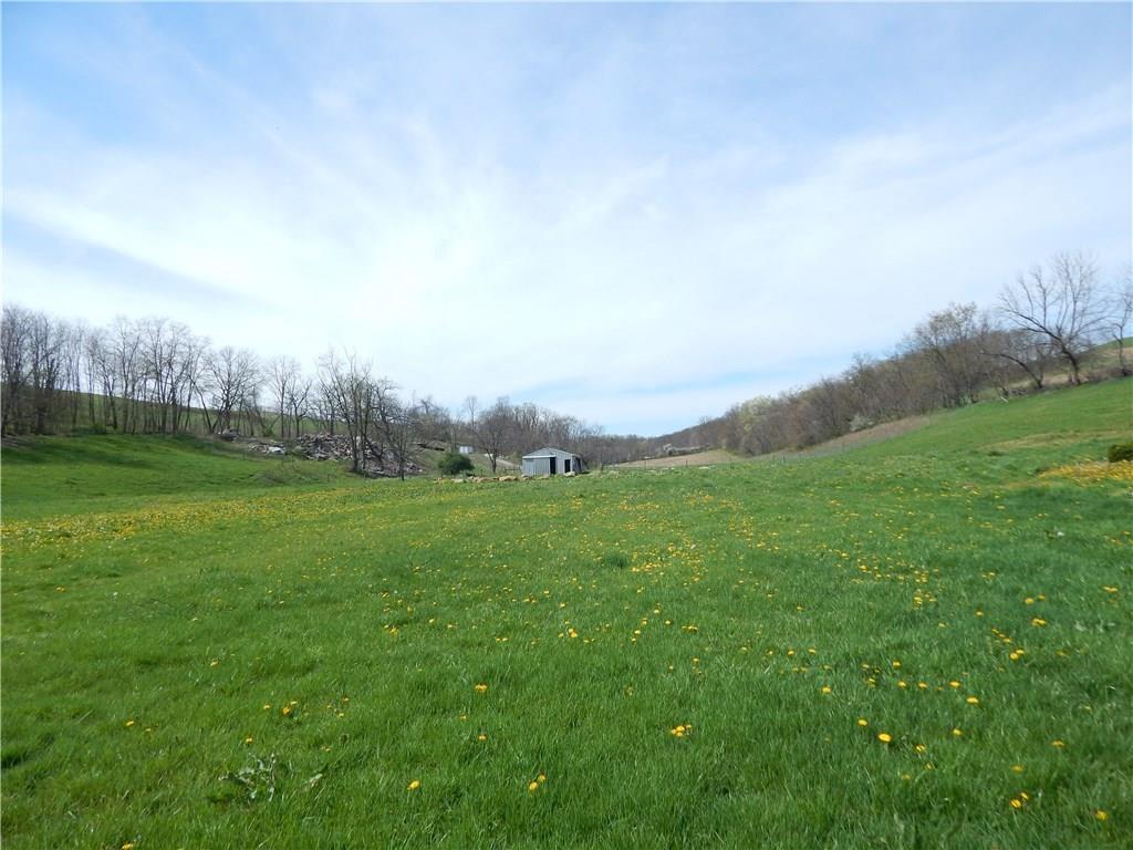 350 Plum Run Road Canonsburg, PA 15317 - Photo 20 of 20 16. 30 acres of lush land with a barn that can accommodate a two horse stall complete with electric.