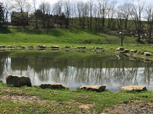 350 Plum Run Road Canonsburg, PA 15317 - Photo 3 of 20 Man made pond with electric to accent the pond at night.