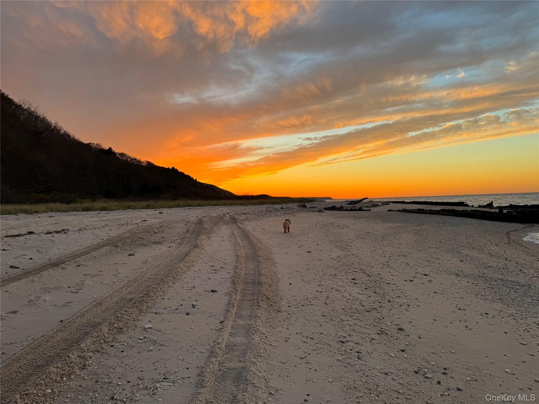 3172 Sound Avenue Riverhead, NY 11901 - Photo 47 of 49 The shoreline serves as a peaceful backdrop for mornings by the water and evenings of sunsets