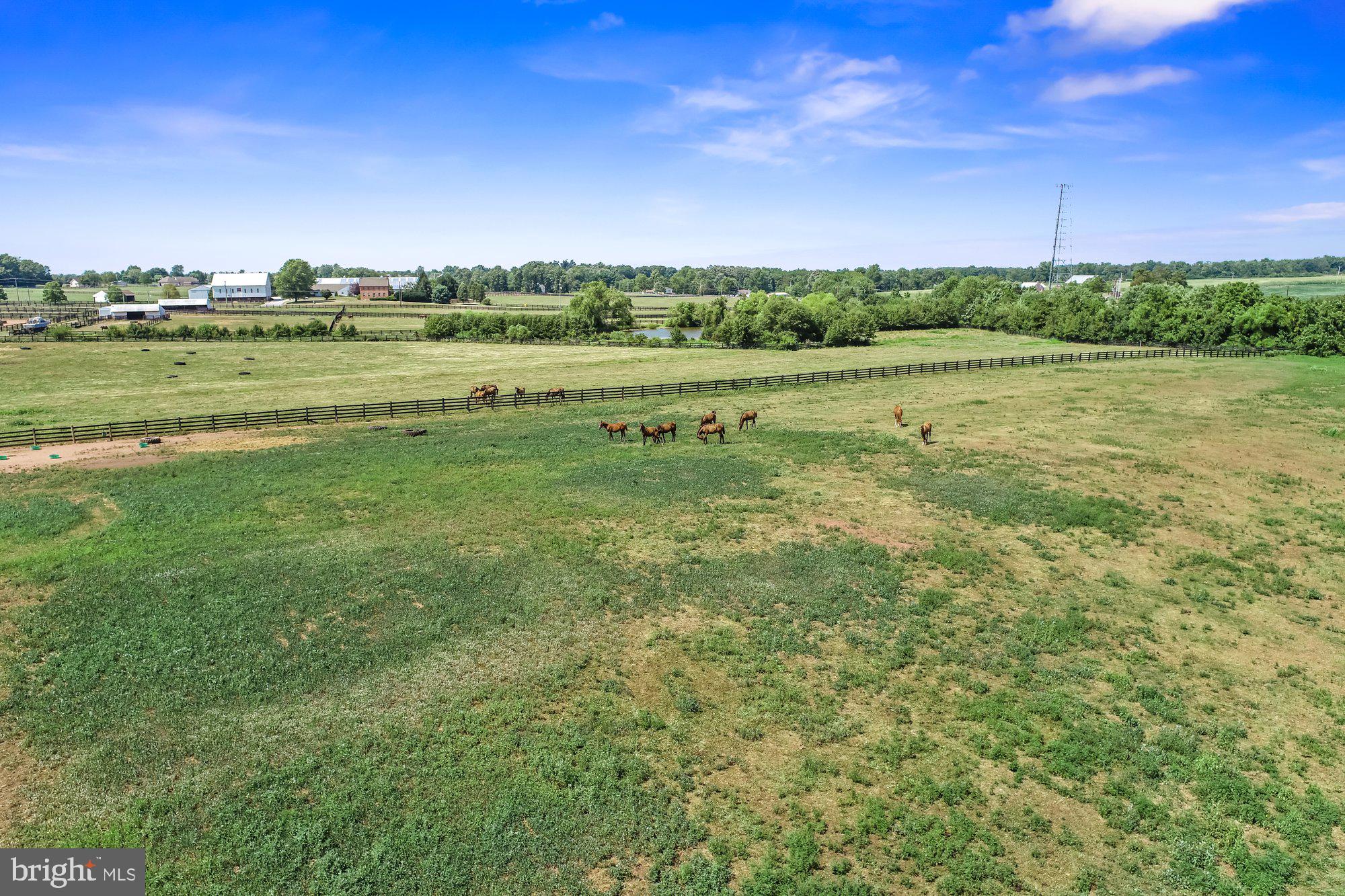 1225 Bon-Ox Road Gettysburg, PA 17325 - Photo 33 of 54 Pasture