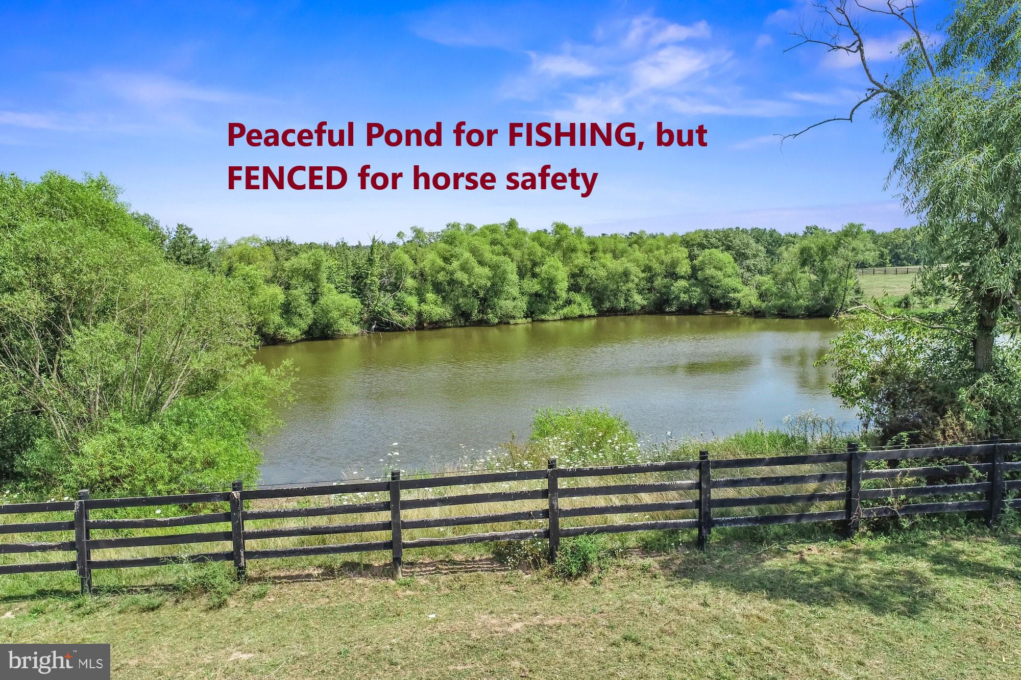 1225 Bon-Ox Road Gettysburg, PA 17325 - Photo 37 of 54 Pond View